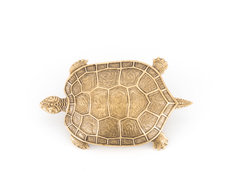 Broche Tortue Dorée Evesome - Evesome Golden Turtle Brooch