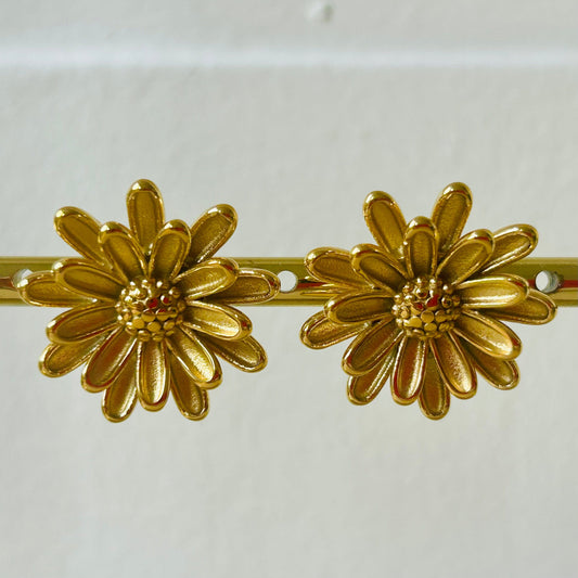 Boucles d'oreilles Suisse