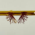 Puces d'oreilles B1