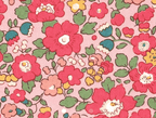 Foulard pointe 109 x 15 cm en Liberty de coton doublé