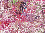 Foulard pointe 109 x 15 cm en Liberty de coton doublé