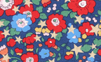 Foulard pointe 109 x 15 cm en Liberty de coton doublé