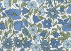 Foulard pointe 109 x 15 cm en Liberty de coton doublé