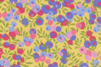 Foulard pointe 109 x 15 cm en Liberty de coton doublé