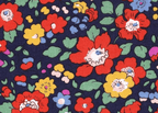 Foulard pointe 109 x 15 cm en Liberty de coton doublé