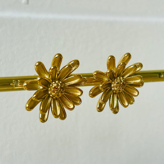 Boucles d'oreilles Suisse