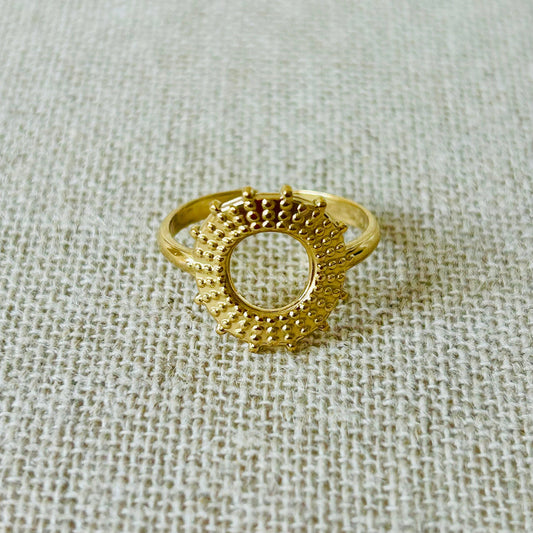 Bague Venezuela