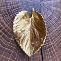 Broche Feuille de violette dorée Evesome - Evesome Golden Violet Leaf Brooch