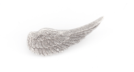 Broche Aile argentée Evesome -  Evesome Silver Wing Brooch