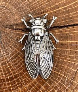 Broche Cigale argentée Evesome - Evesome Silver Cicada Brooch