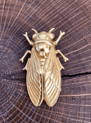 Broche Cigale dorée