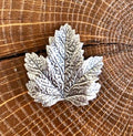 Broche Feuille de vigne argentée